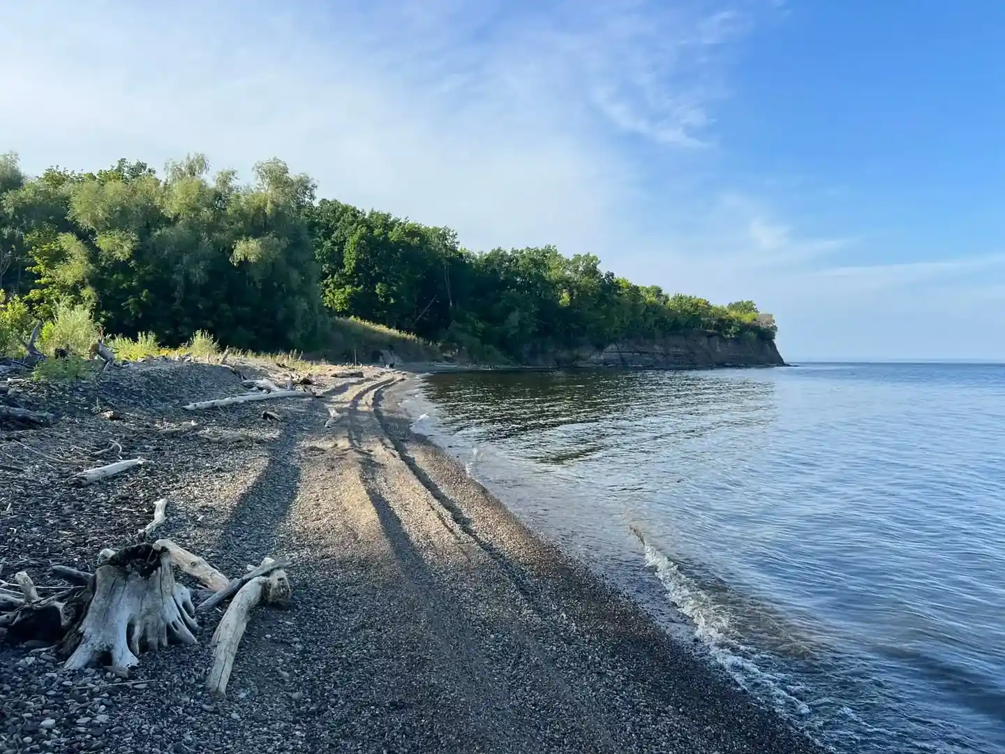Галечный берег с корягами на кромке воды